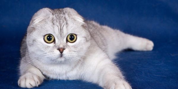 test clinicの院内写真